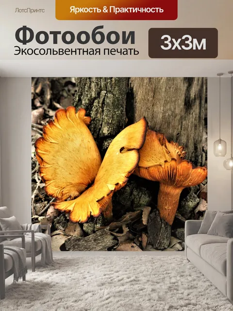 Фотообои Ложные грибы лисички