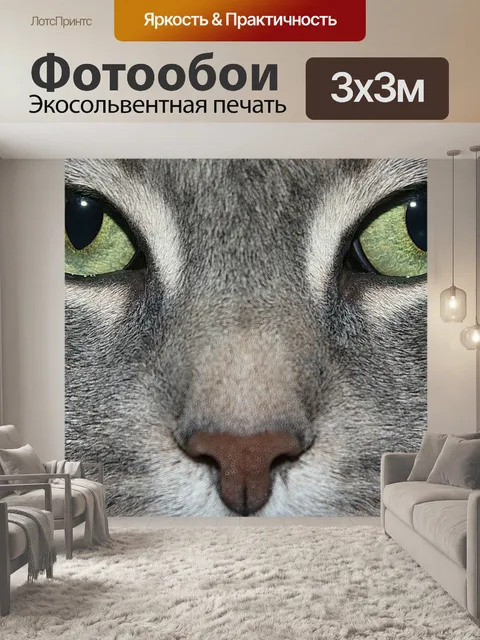 Фотообои Кошка