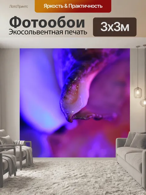 Фотообои Крупный план, ракушка в воде