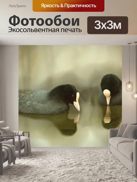 Фотообои Птицы