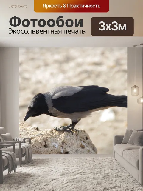 Фотообои Черный ворон