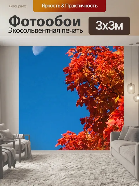 Фотообои Луна в осеннем небе
