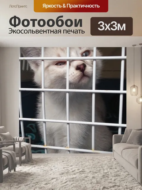 Фотообои Китти