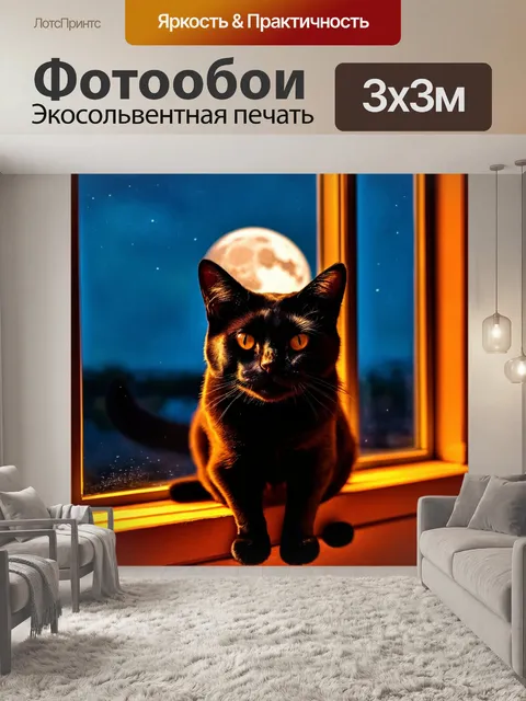 Фотообои чёрная кошка на окне с новым месяцем