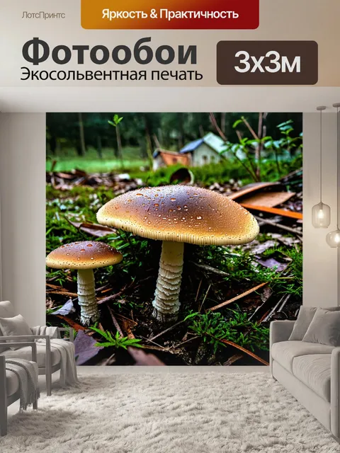 Фотообои грибы плесневые на заднем дворе старого дома, покрытые утренней росой и окруженные заброшенными предметами
