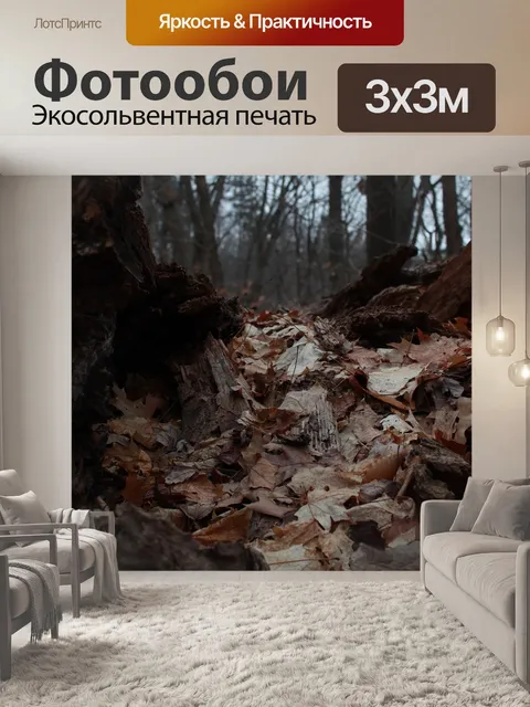 Фотообои Лес