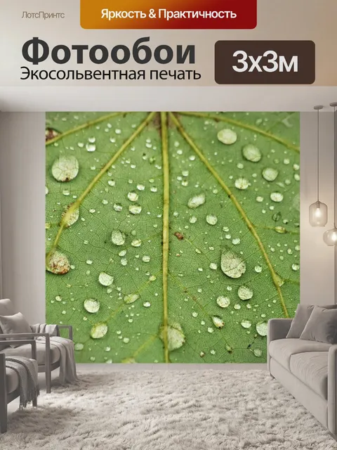 Фотообои Капли дождя на макросе зеленого листа