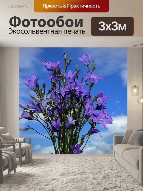 Фотообои Цветы