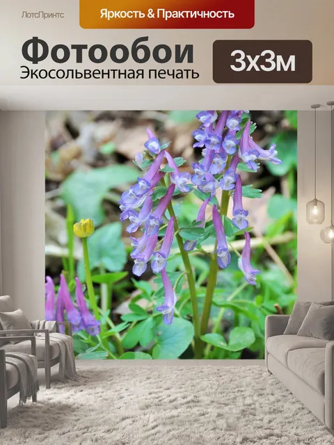 Фотообои Фиолетовые цветы