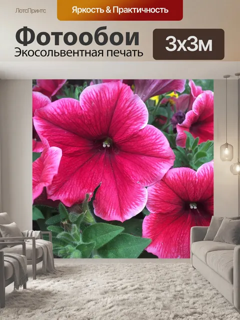 Фотообои Розовый