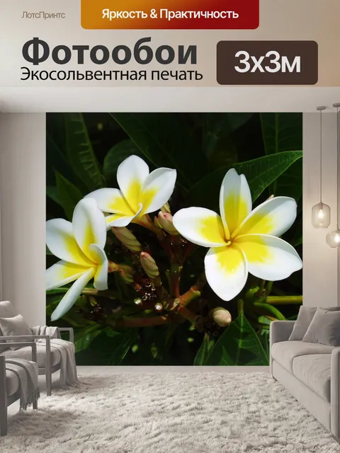 Фотообои Экзотика