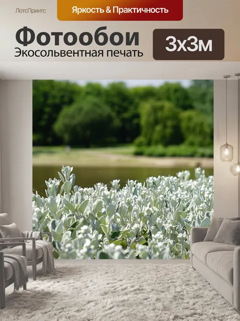 Фотообои Листья