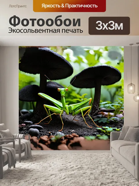Фотообои на затененной тропической поляне