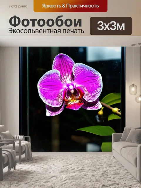 Фотообои орхидея, отражающая солнечные блики на фоне стеклянной поверхности