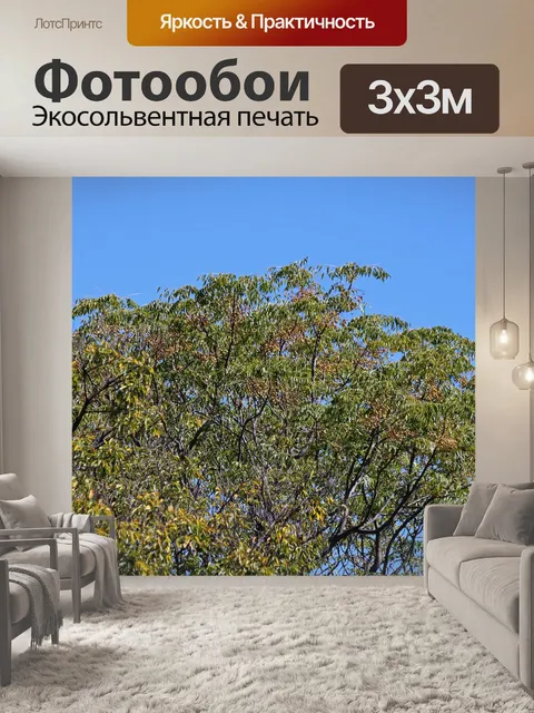 Фотообои дерево сиринги с желтыми семенами