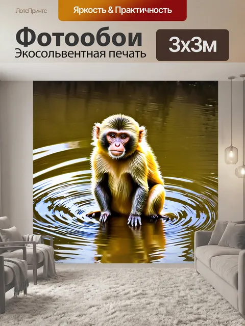 Фотообои обезьяна капуцин, сидя на берегу реки, ловит отражения воды, играя с их переливами