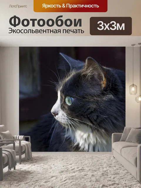 Фотообои Кошка