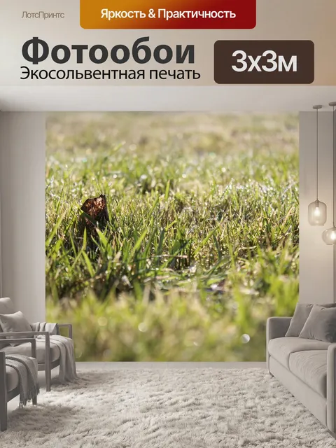 Фотообои Трава