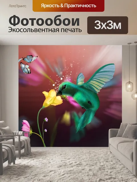 Фотообои Колибри