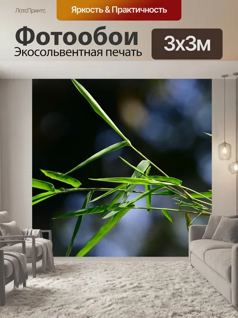 Фотообои Листья бамбука