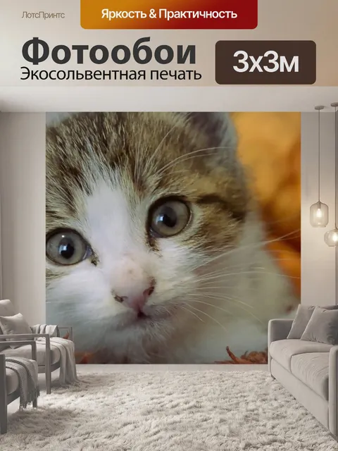Фотообои Милые кошки