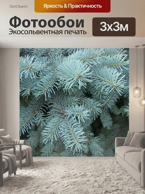 Фотообои Лес