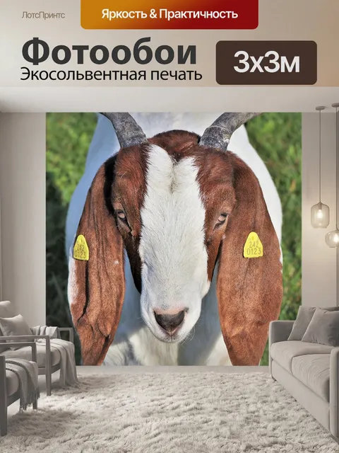 Фотообои Козел