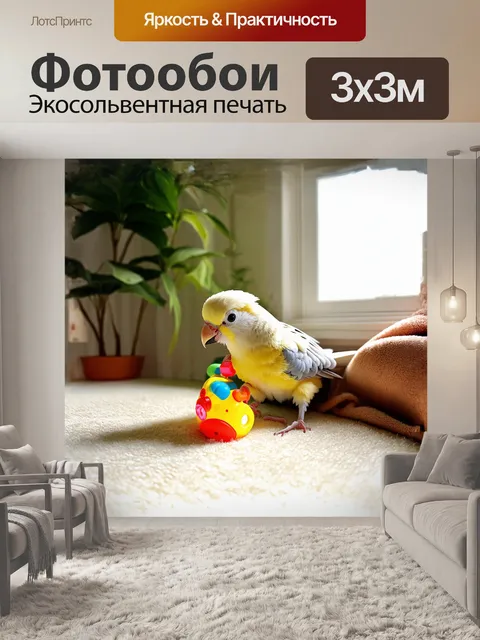 Фотообои корелла, играющая с яркой игрушкой в уютной комнате, обвиснувшей мягкими текстурами