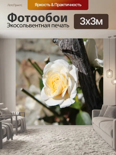 Фотообои Розовый куст