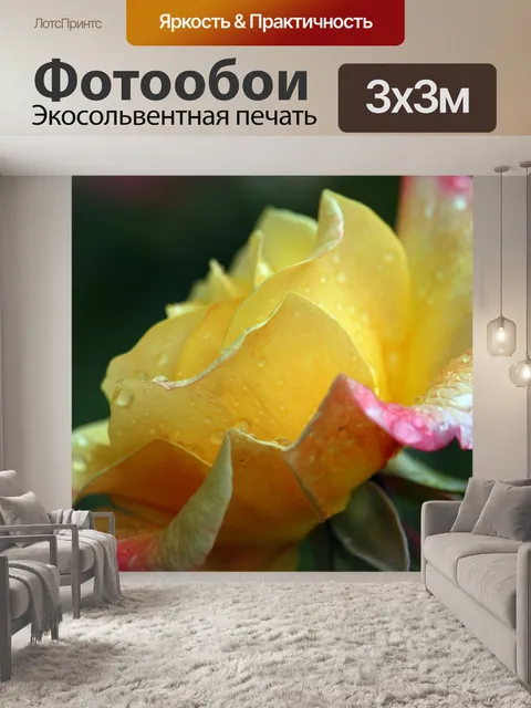 Фотообои Желтая роза
