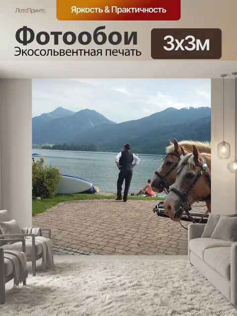 Фотообои Лошади