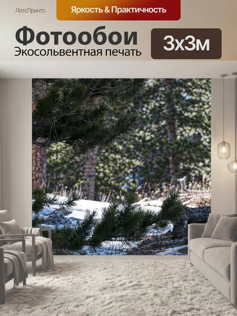 Фотообои Снежный лес