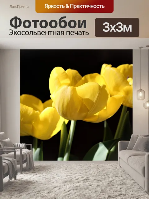 Фотообои Три желтых тюльпана на черном