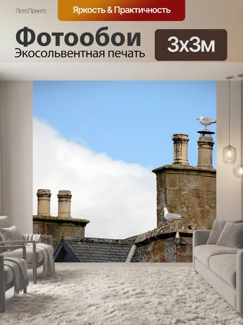 Фотообои Чайка
