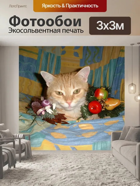 Фотообои Рождество кошки