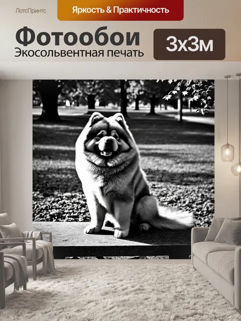 Фотообои чау-чау, восседающий на каменной скамье в старинном парке, с длинной тенью от заката