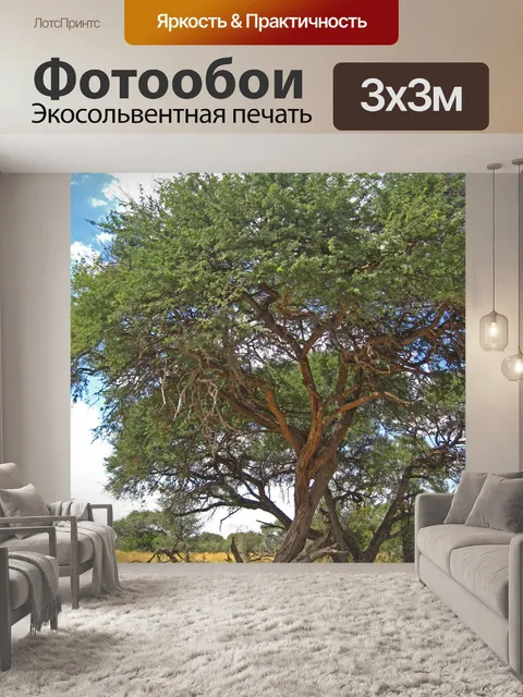 Фотообои большое дерево в африканской пустыне