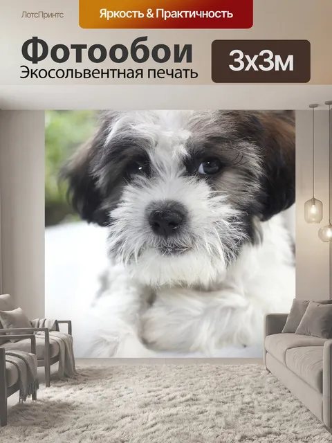 Фотообои Щенок