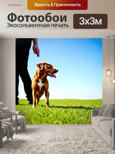 Фотообои коричневая собака, играющая с владельцем на зеленом травяном поле под ясным небом