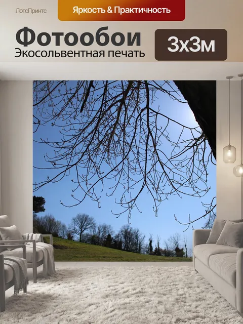 Фотообои Небо