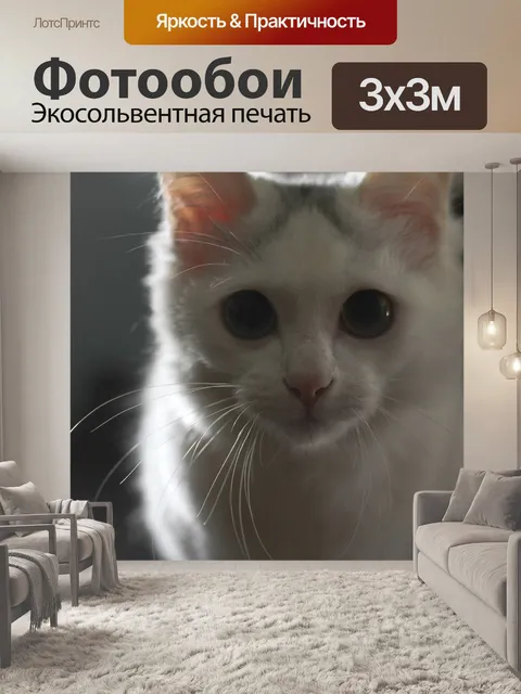 Фотообои Кошка