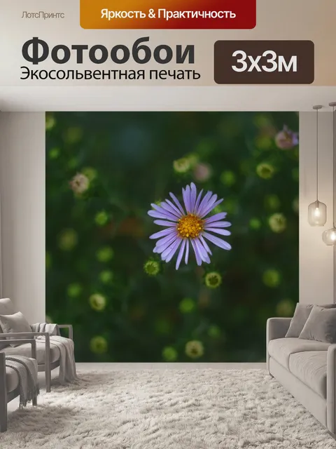 Фотообои Цветок
