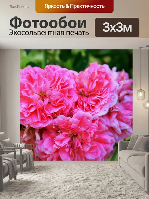 Фотообои Кластер из розовых роз