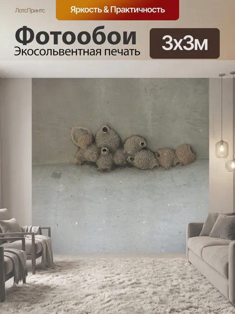 Фотообои Birdnest Под шоссе