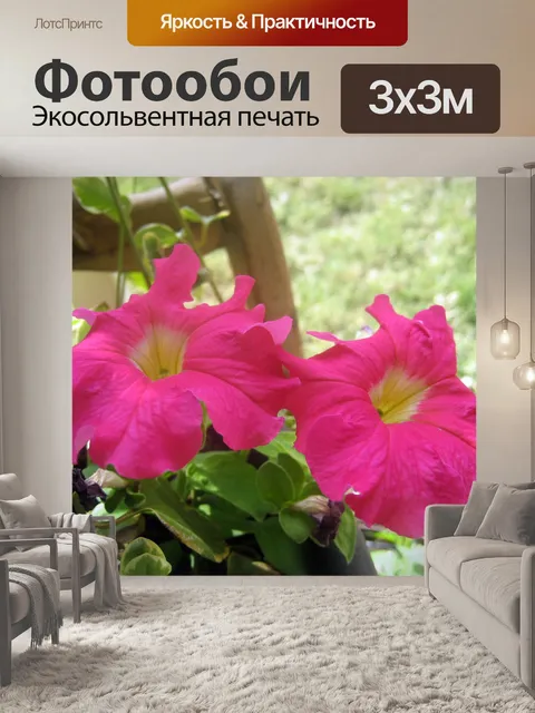 Фотообои розовый цветок