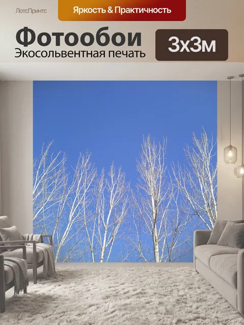 Фотообои Голубое небо