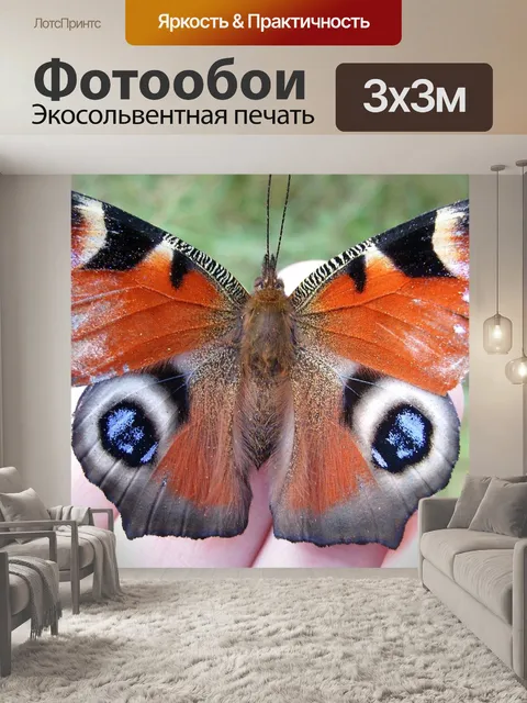 Фотообои Бабочка