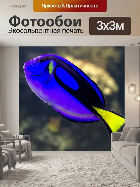 Фотообои Рыбы
