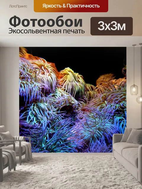 Фотообои Коралл