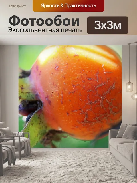 Фотообои светло-оранжевый шиповник в саду